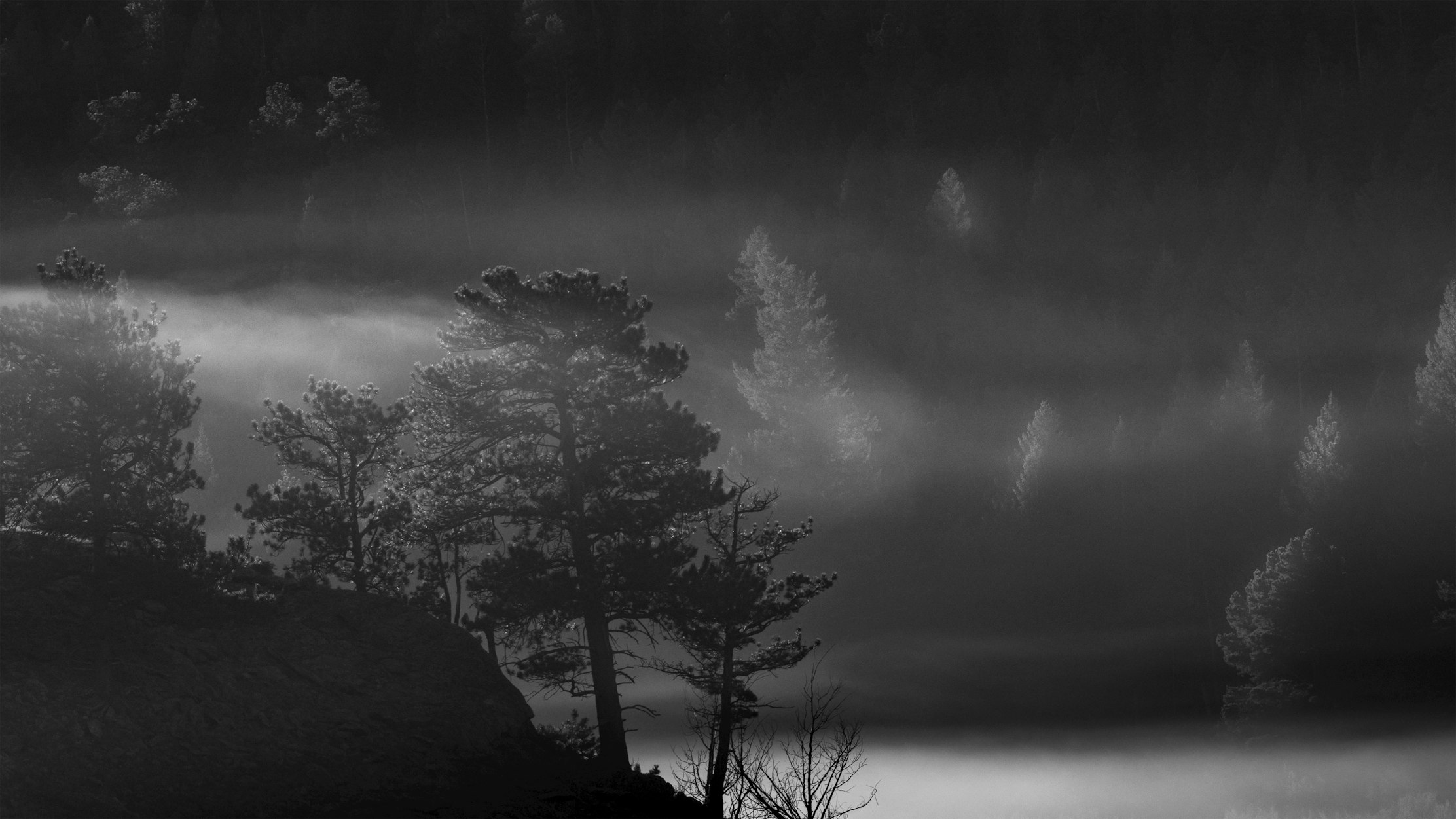 Where the Light Shines