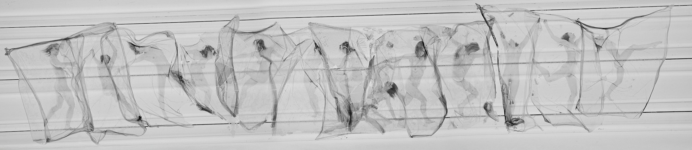 Studies for a Revolution