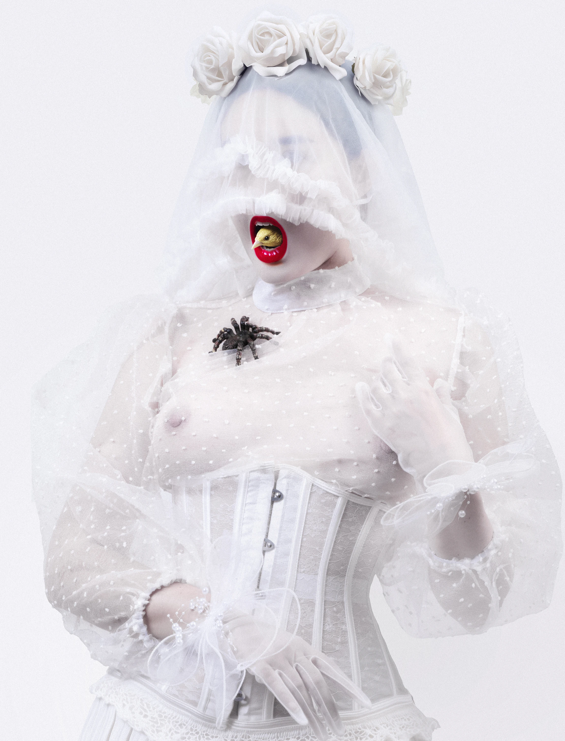 When the truth becomes prey