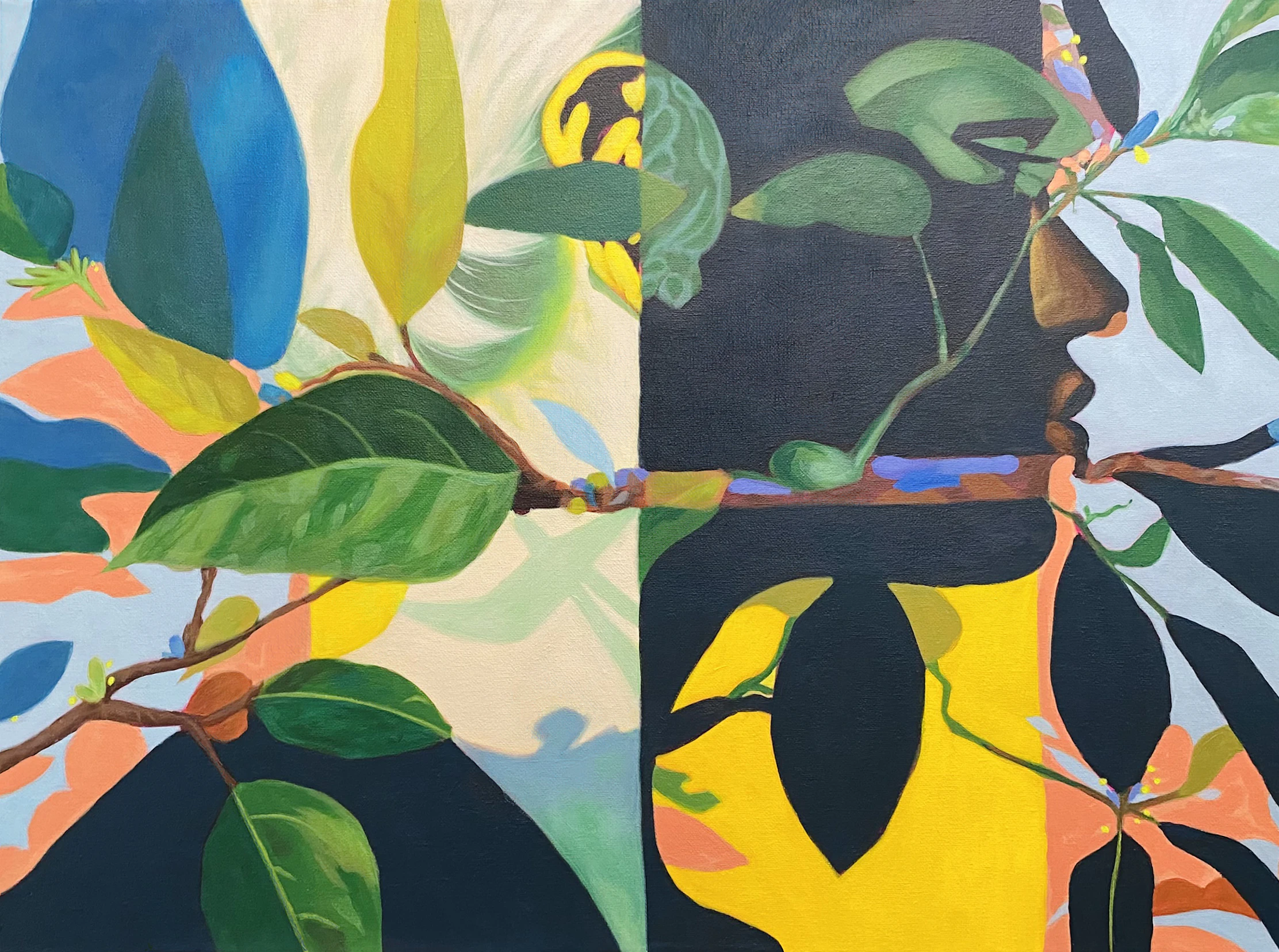 Phases of our Growth