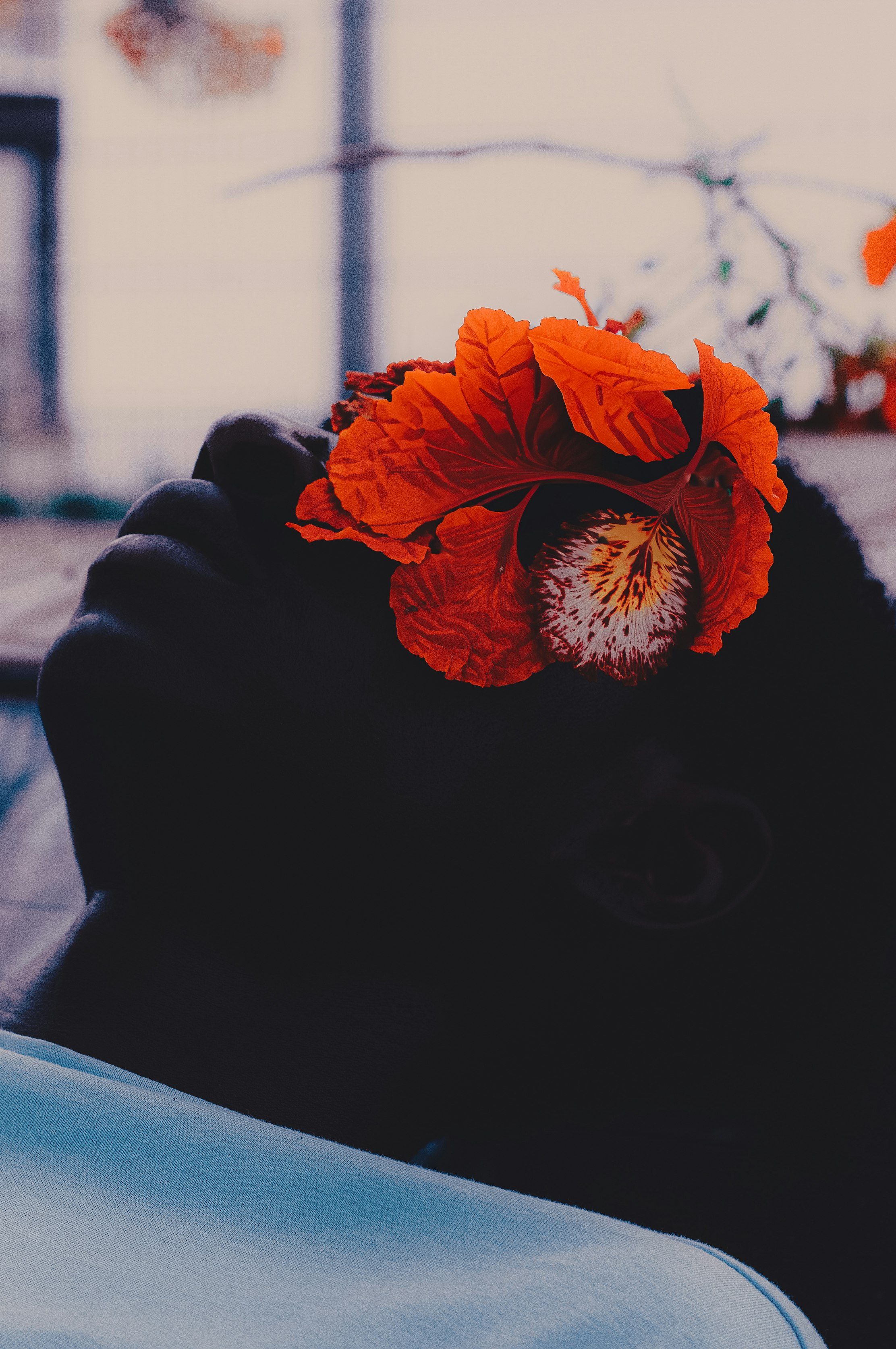 With love, From Freedom.