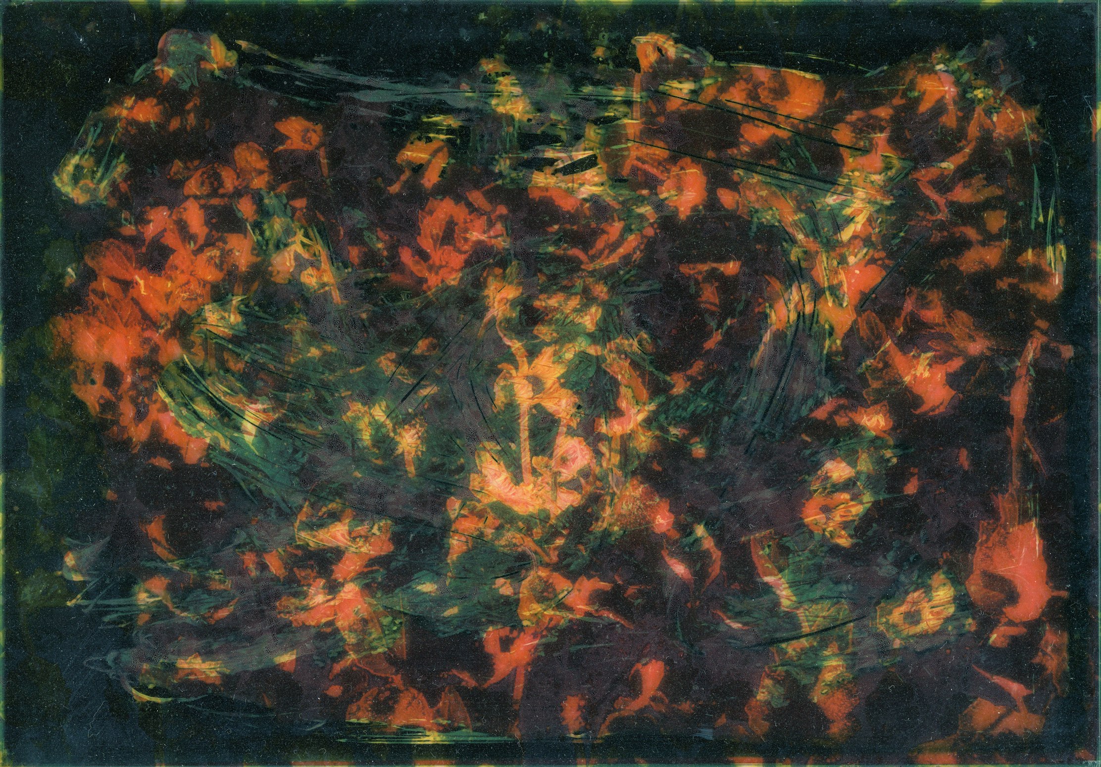 Old Hopes, New Fears