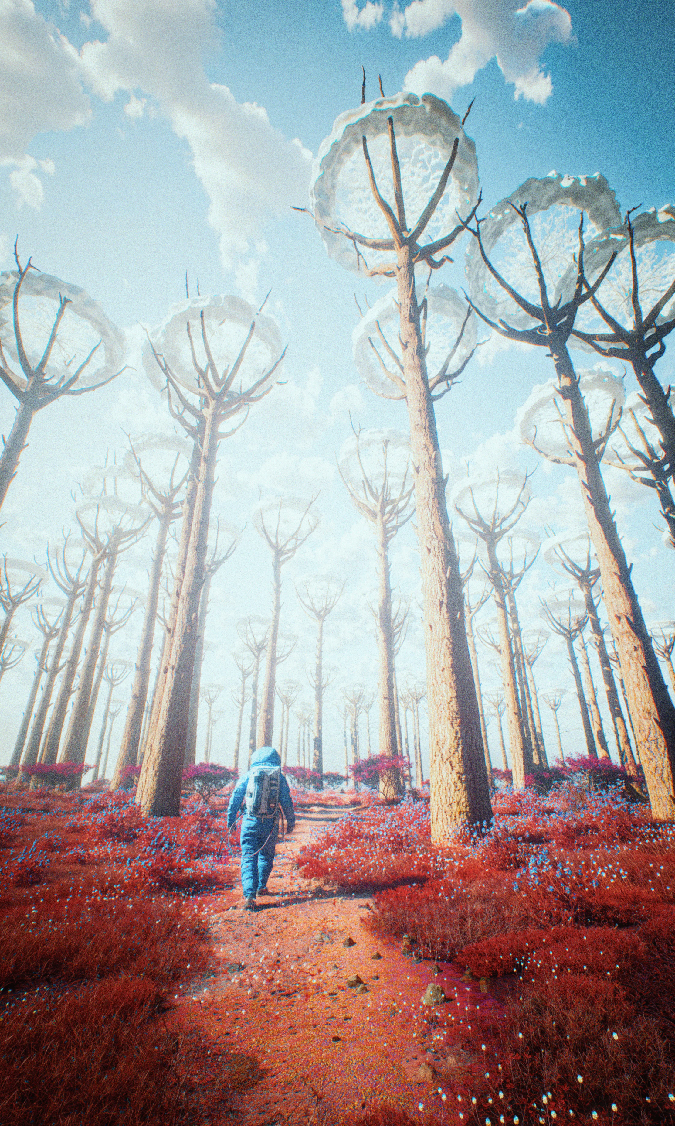 Wandering The Vermilion Planet