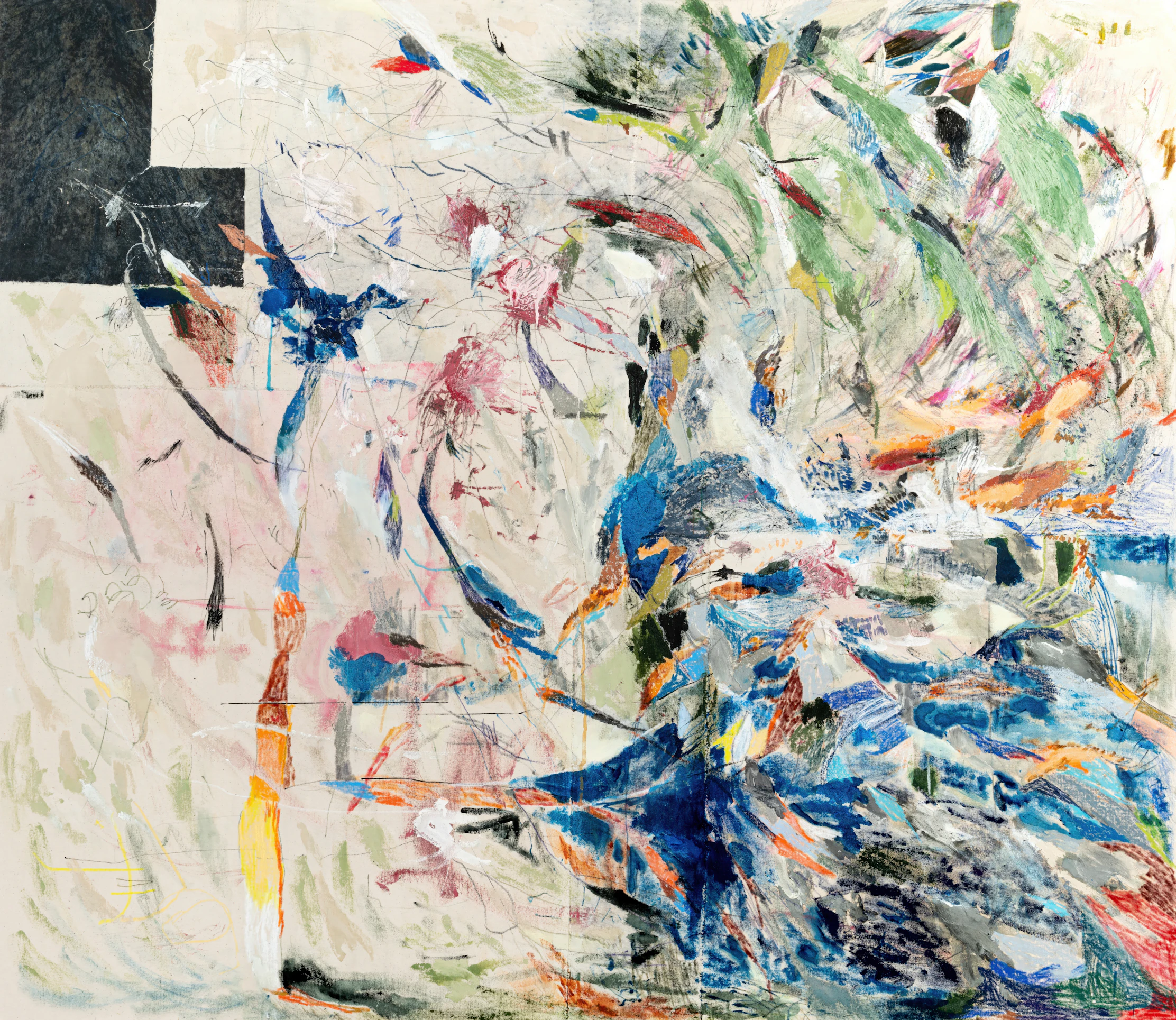 untitled (birdwatching)